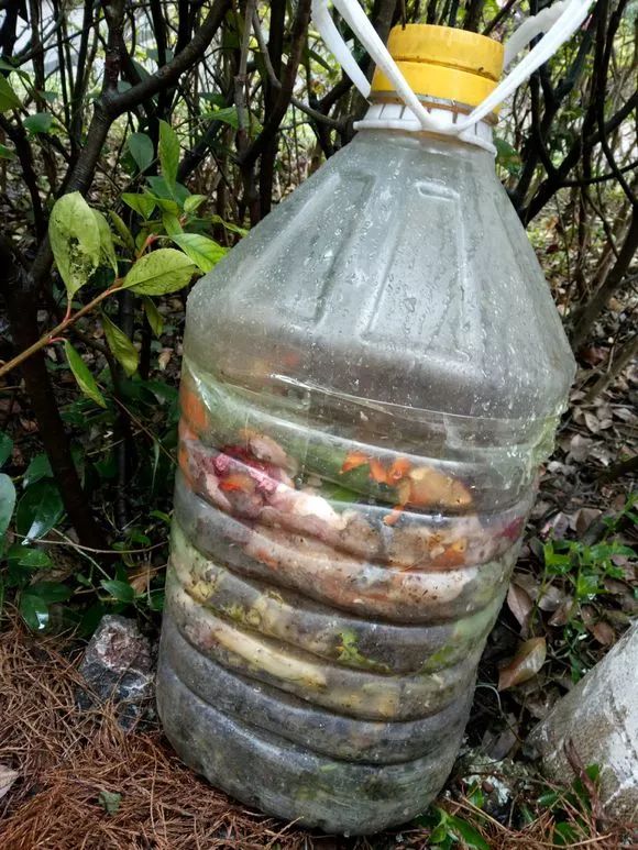 人称"三明治堆肥法",菜叶瓜果皮都能变花肥,关键还没异味!