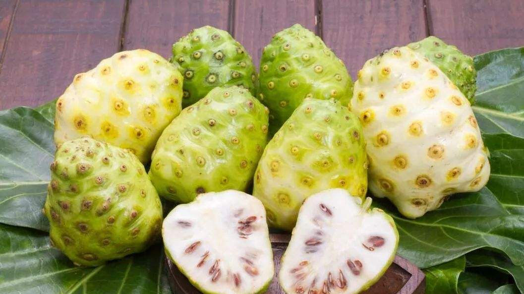 诺丽粉的价格 - 2020年最新商品信息聚合专区 - 百度爱采购