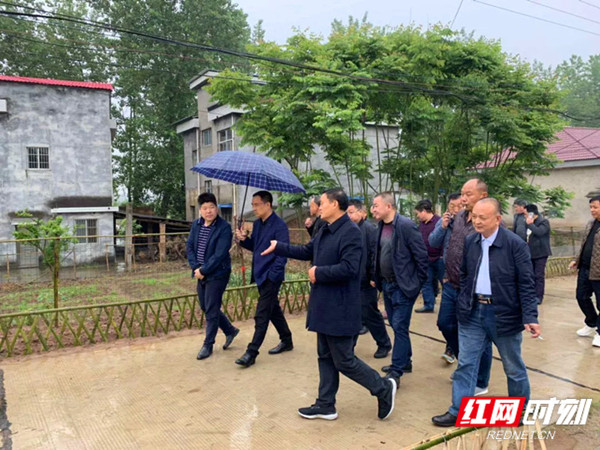 安乡陈家嘴镇:学习借鉴经验 保住"十佳"旗帜