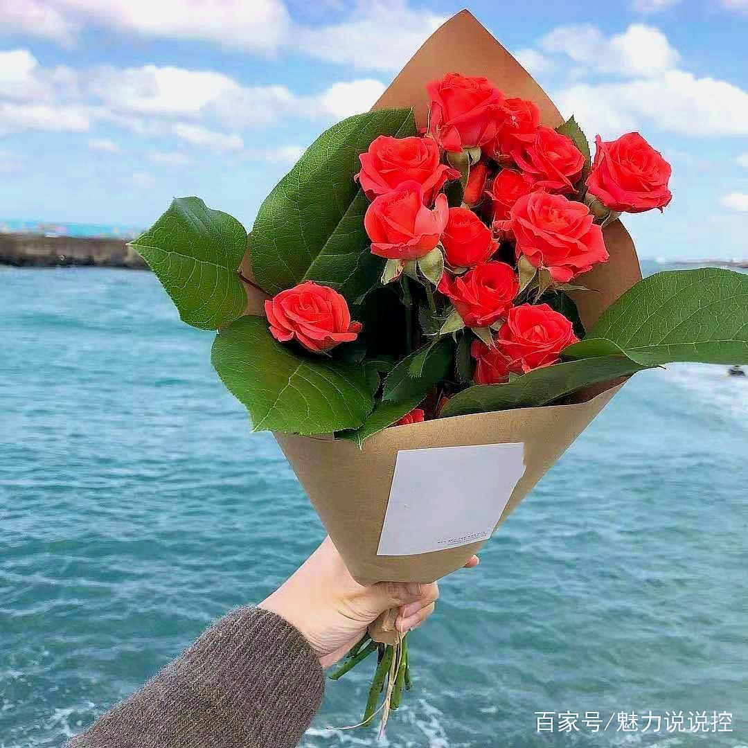 充满阳光的早安心语,句句入心,快发朋友圈吧!