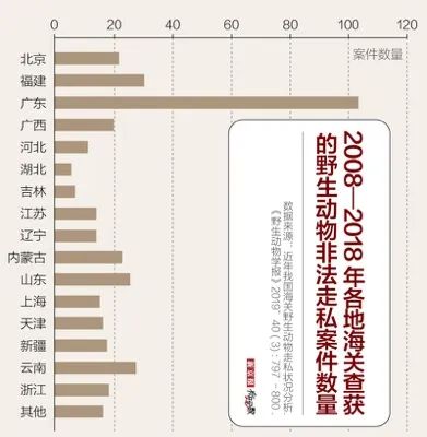 平均每九天就有人走私野生动物,哪地海关查获最多?