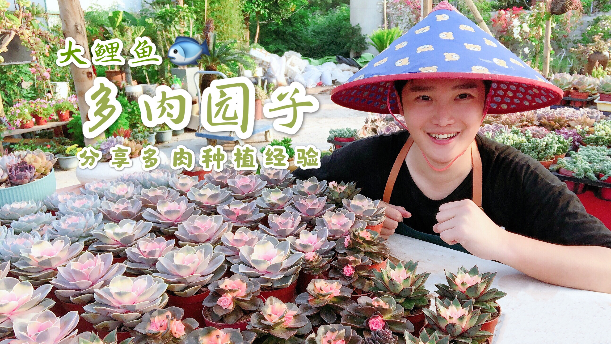 多肉达人分享自己的园艺生活,分享多肉种植经验小技巧学起来!