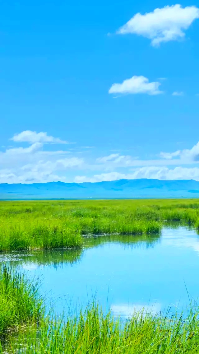 手机壁纸 这景色美极了