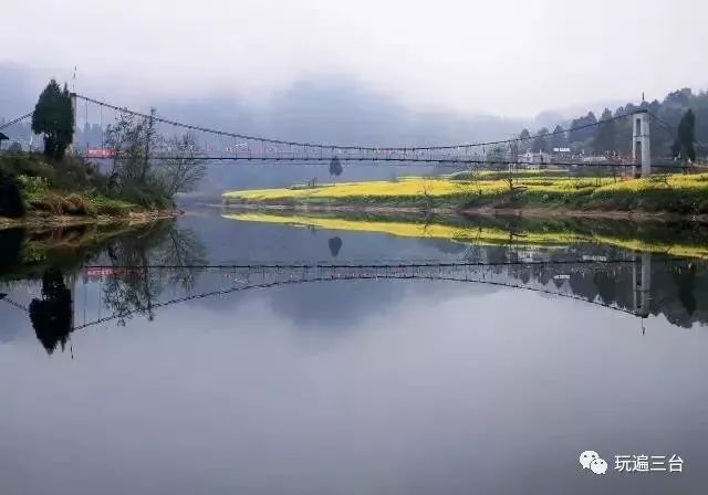 三台县禹平故里三元油菜花旅游节盛会!前端讯息,你千万别错过!