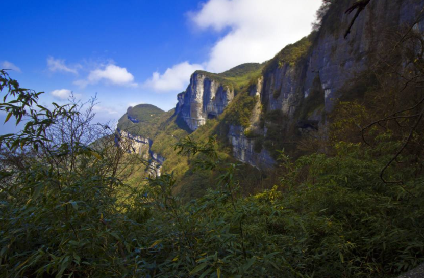 金佛山属典型的喀斯特地质地貌,山势雄奇秀丽,景色深秀迷人.