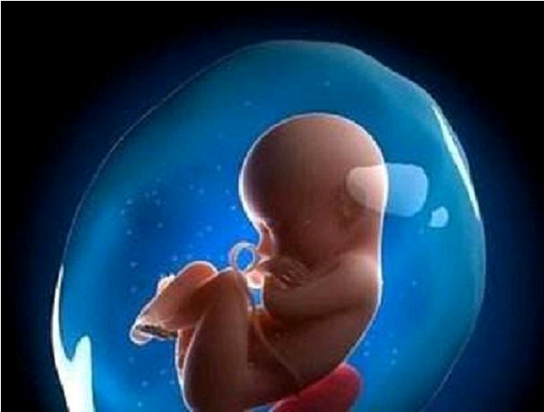怀孕一百天内,胎儿这三样东西已经成型,第一种无法改变