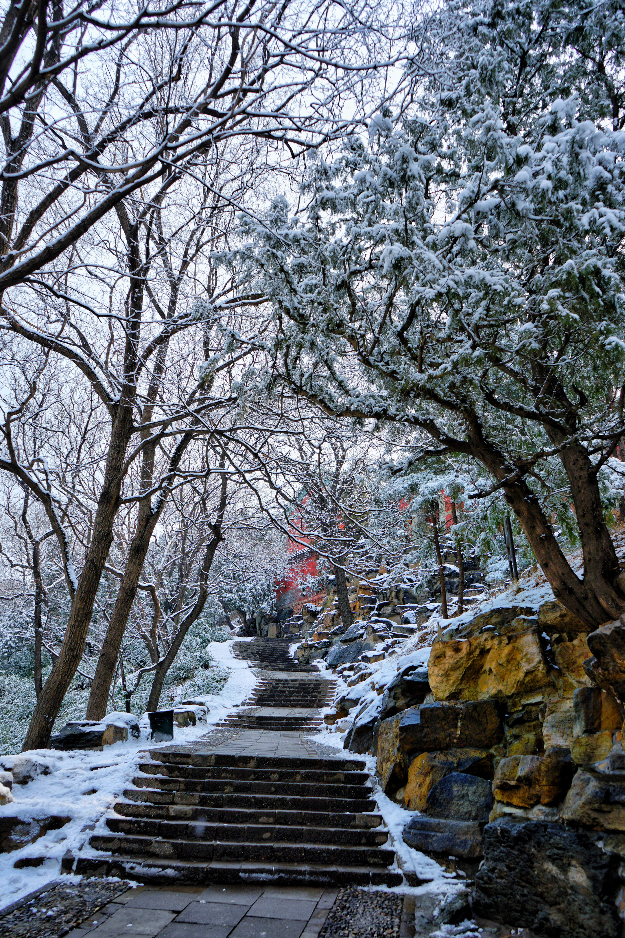 頤和園雪景