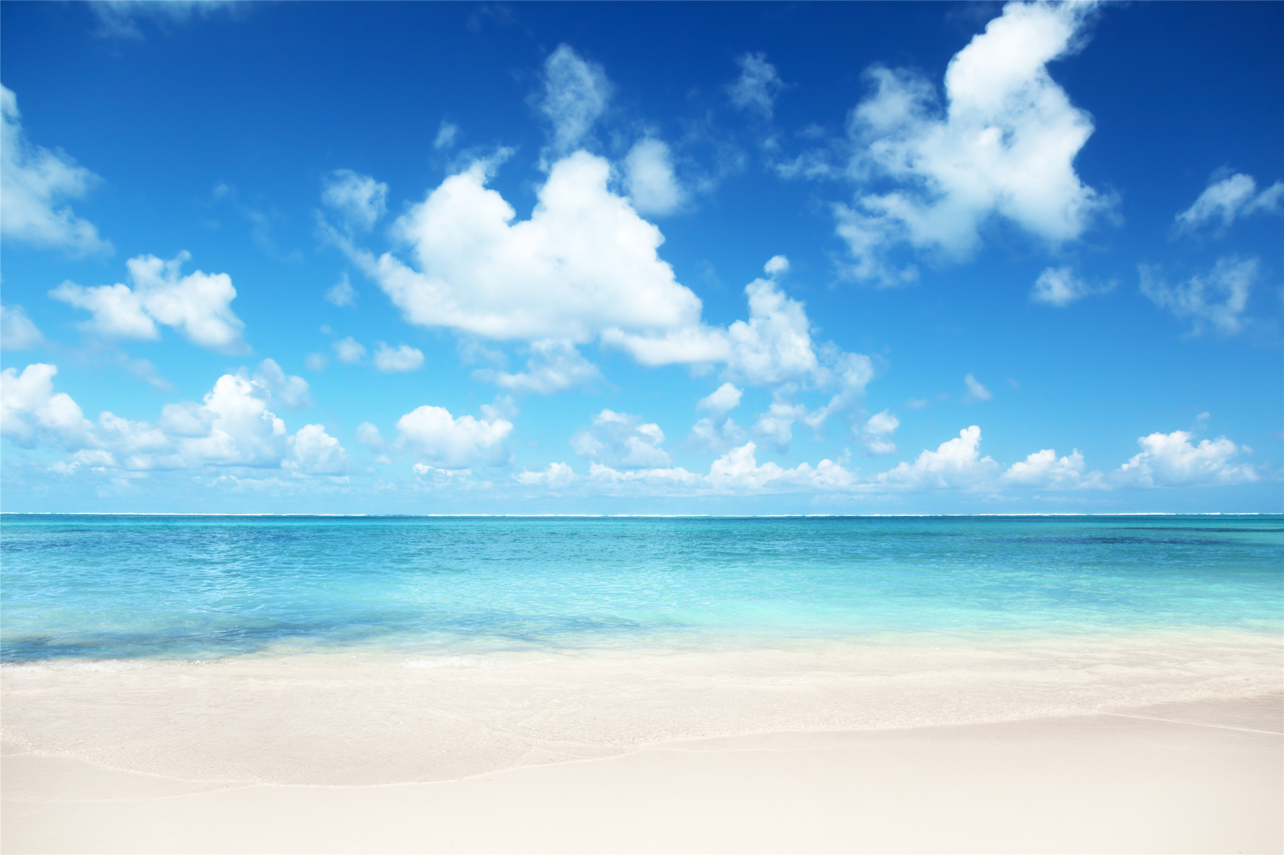 带你们欣赏六张美景图:白色浪花,清澈的海水,你还能看见什么?