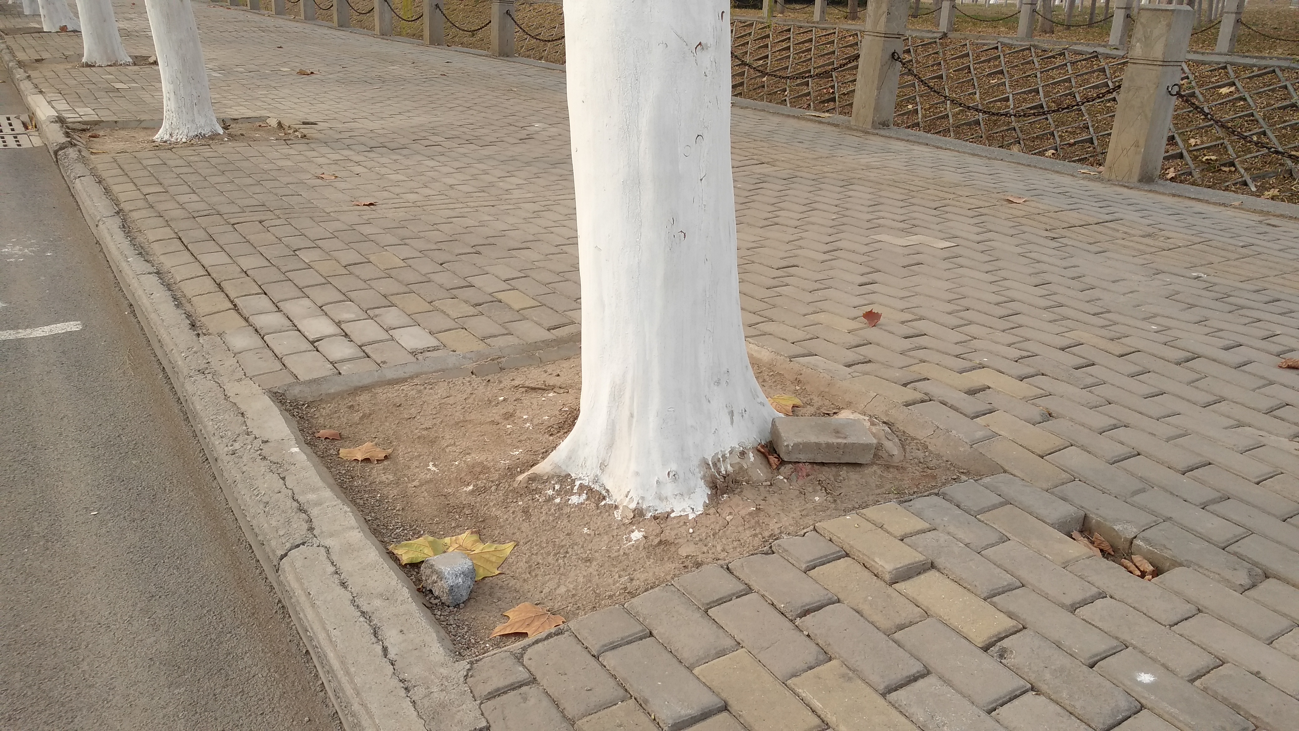 焦作龙源路大变样,彩色透水砖和花岗岩道沿让人行道成一风景