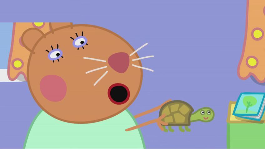 小猪佩奇之仓鼠兽医的乌龟