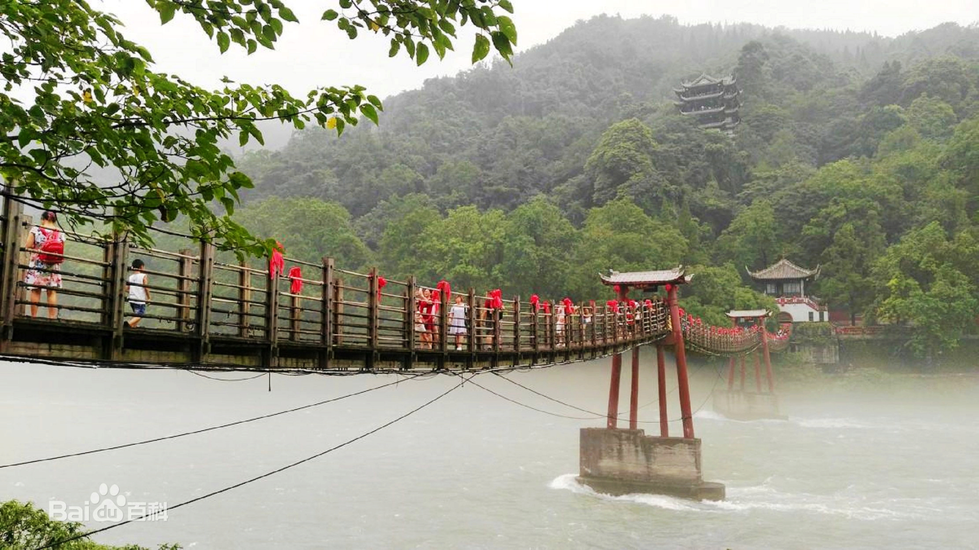 中国最长的竹索桥:都江堰安澜索桥