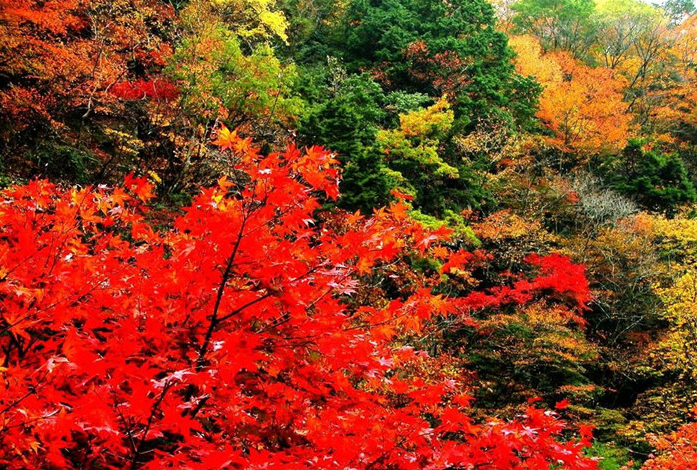 莱芜香山景区图片