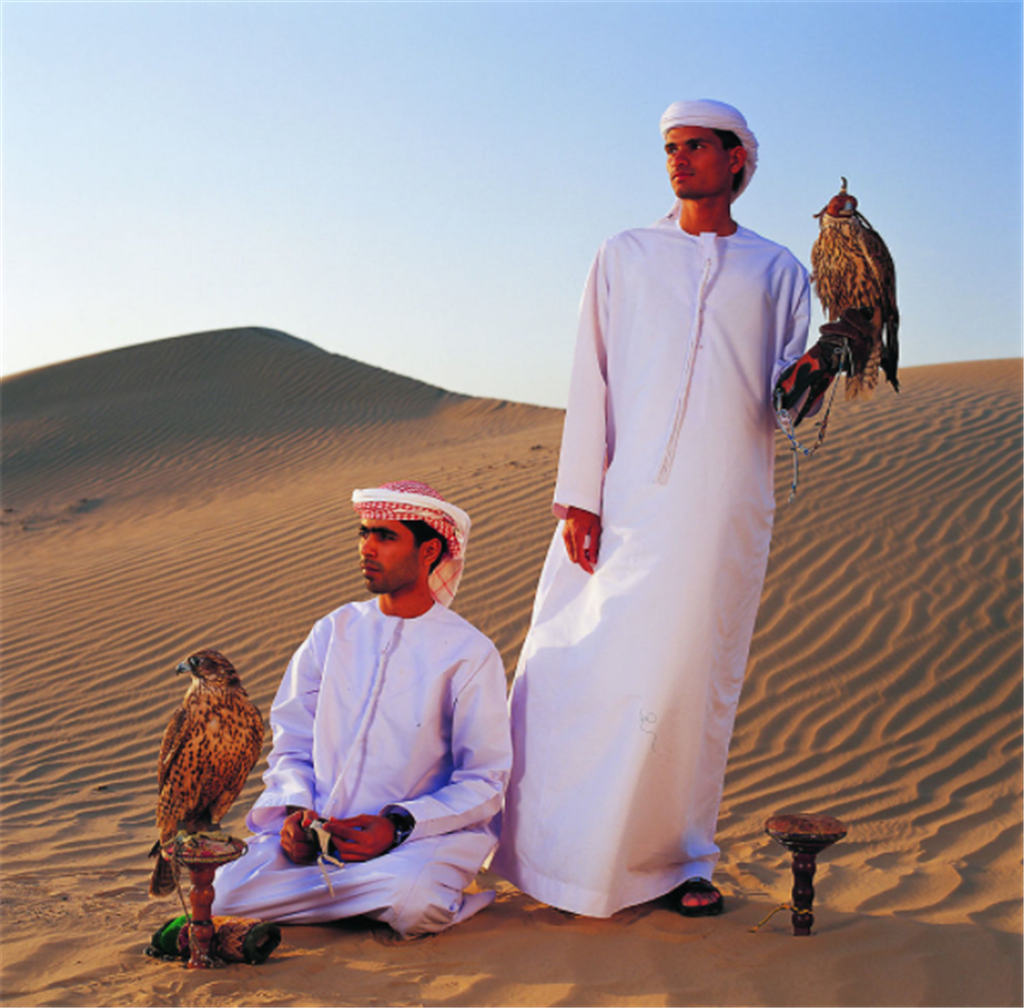 世界历史:群体之间的深刻对立,构成将阿拉伯人不同的客观基础