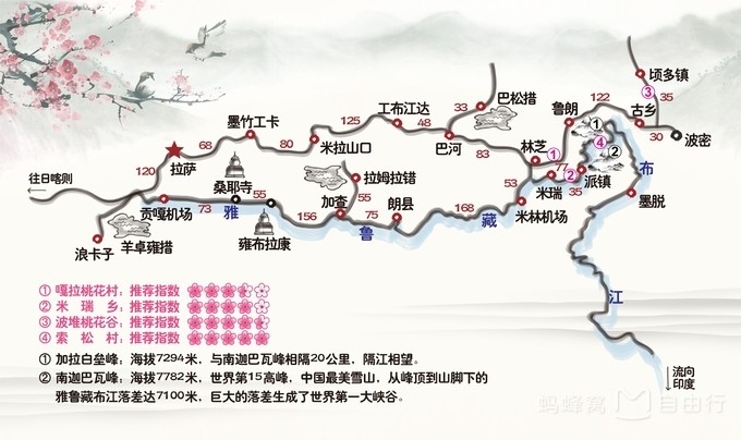 索松村,一场雪域桃花的盛宴!带上相机川藏线十日拼车游!