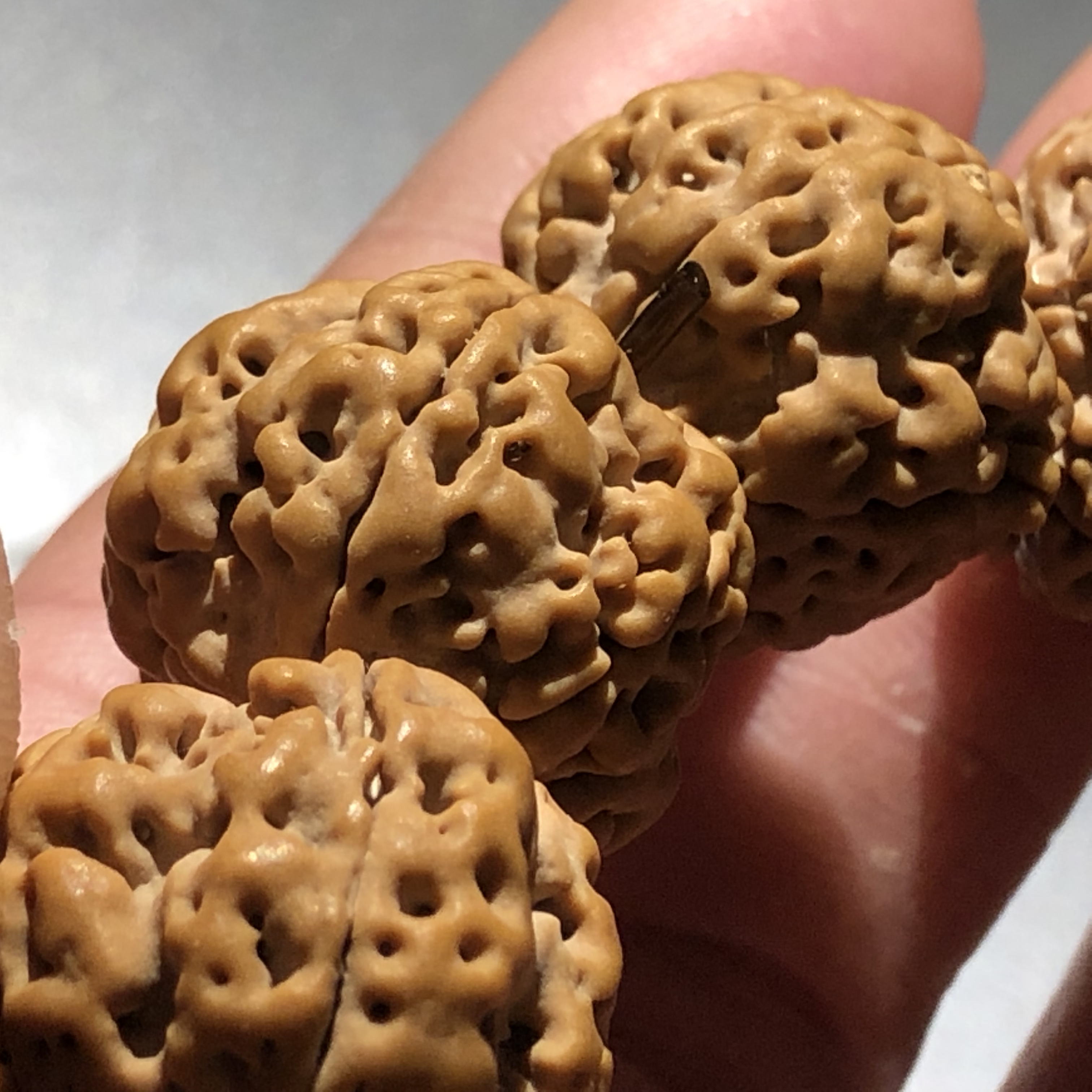 这样一串肉到没有朋友的蜂王金刚菩提子,谁看谁眼红!