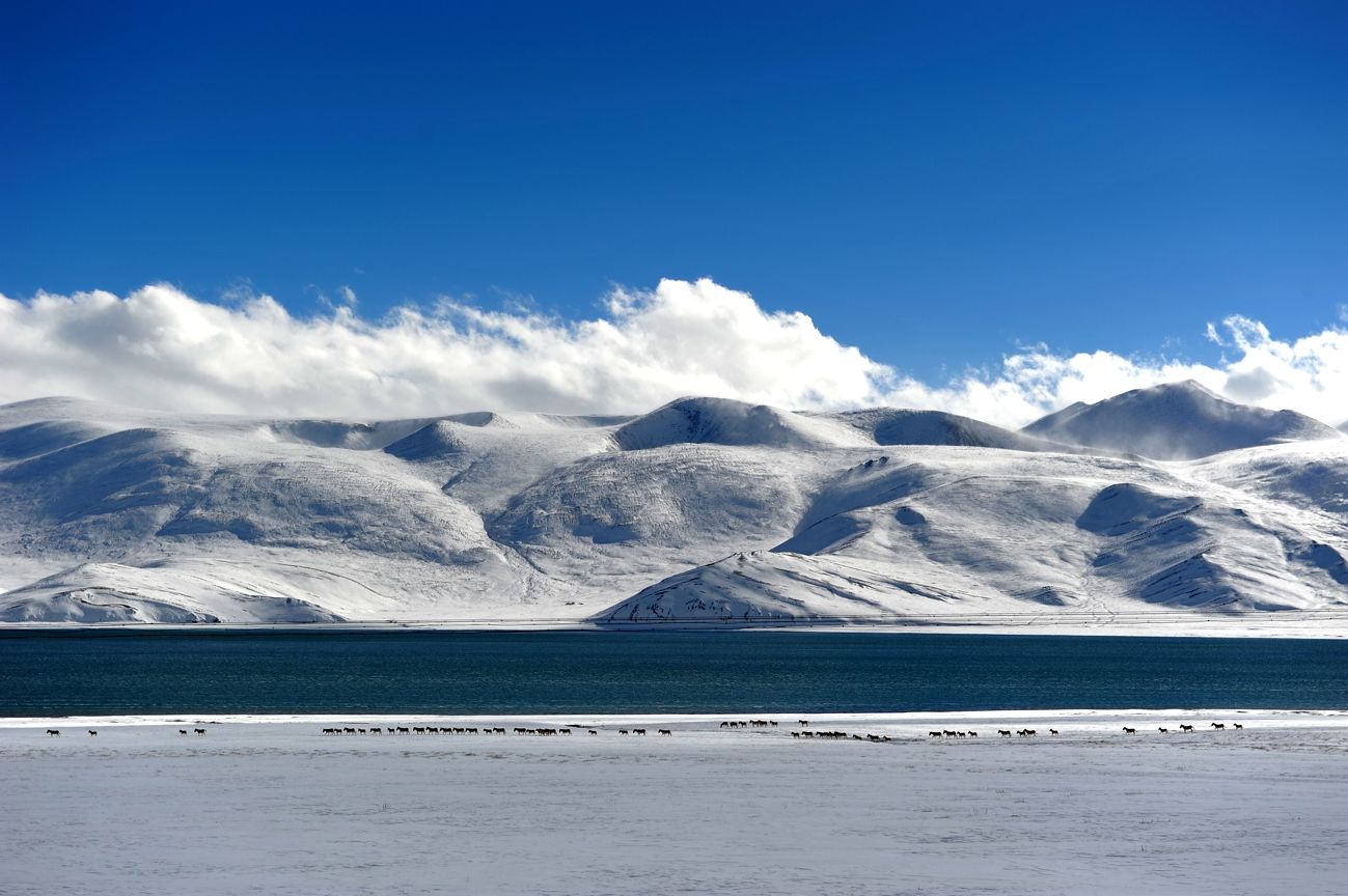 西藏只有冬季才会下雪吗?