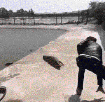 360_348gif 动态图 动图