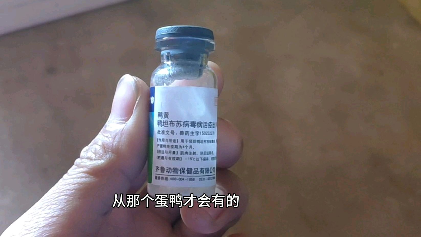 鸭子养得好,疫苗要做足
