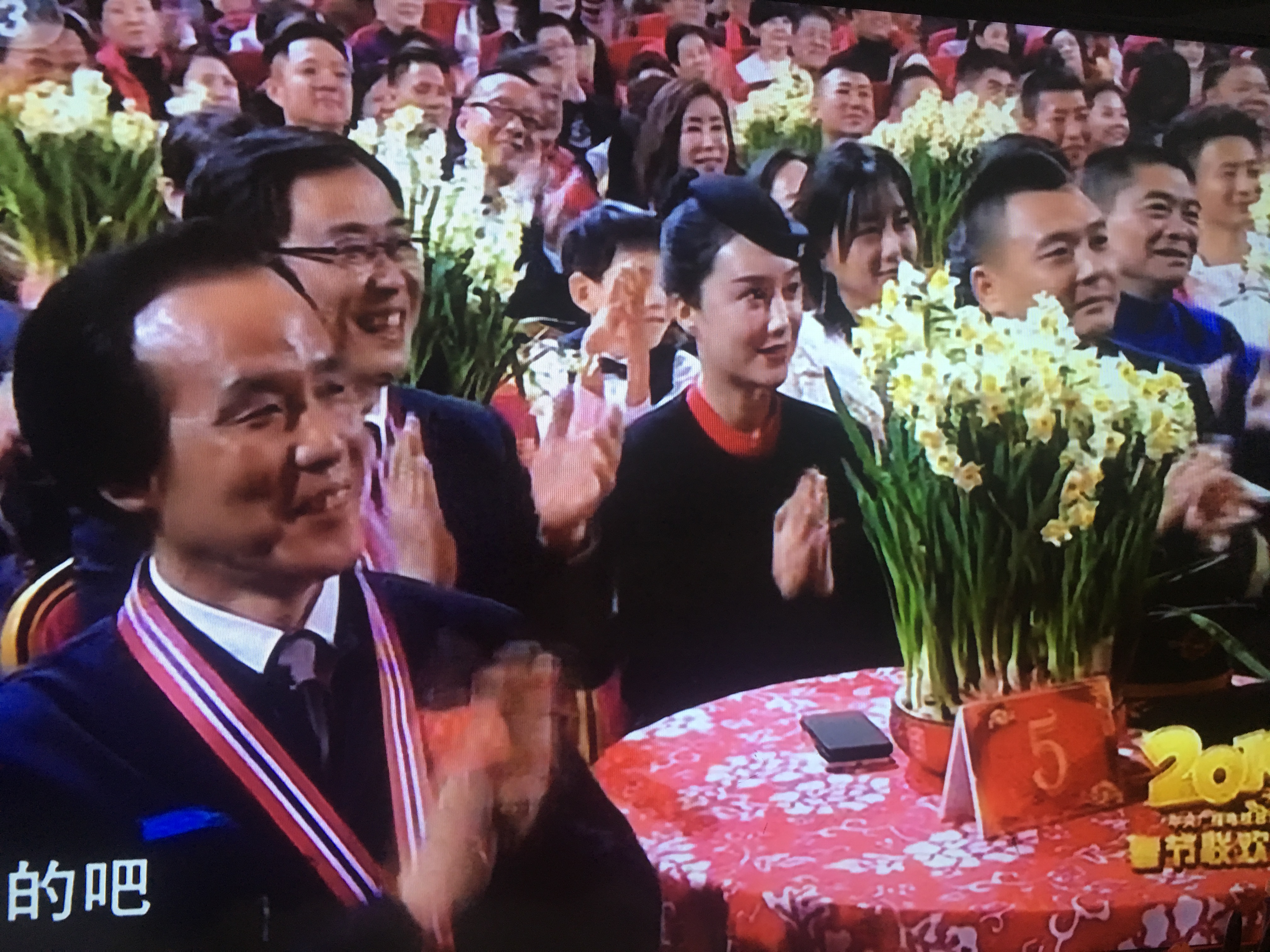 春晚的水仙花开了,你们家的水仙花开了吗?