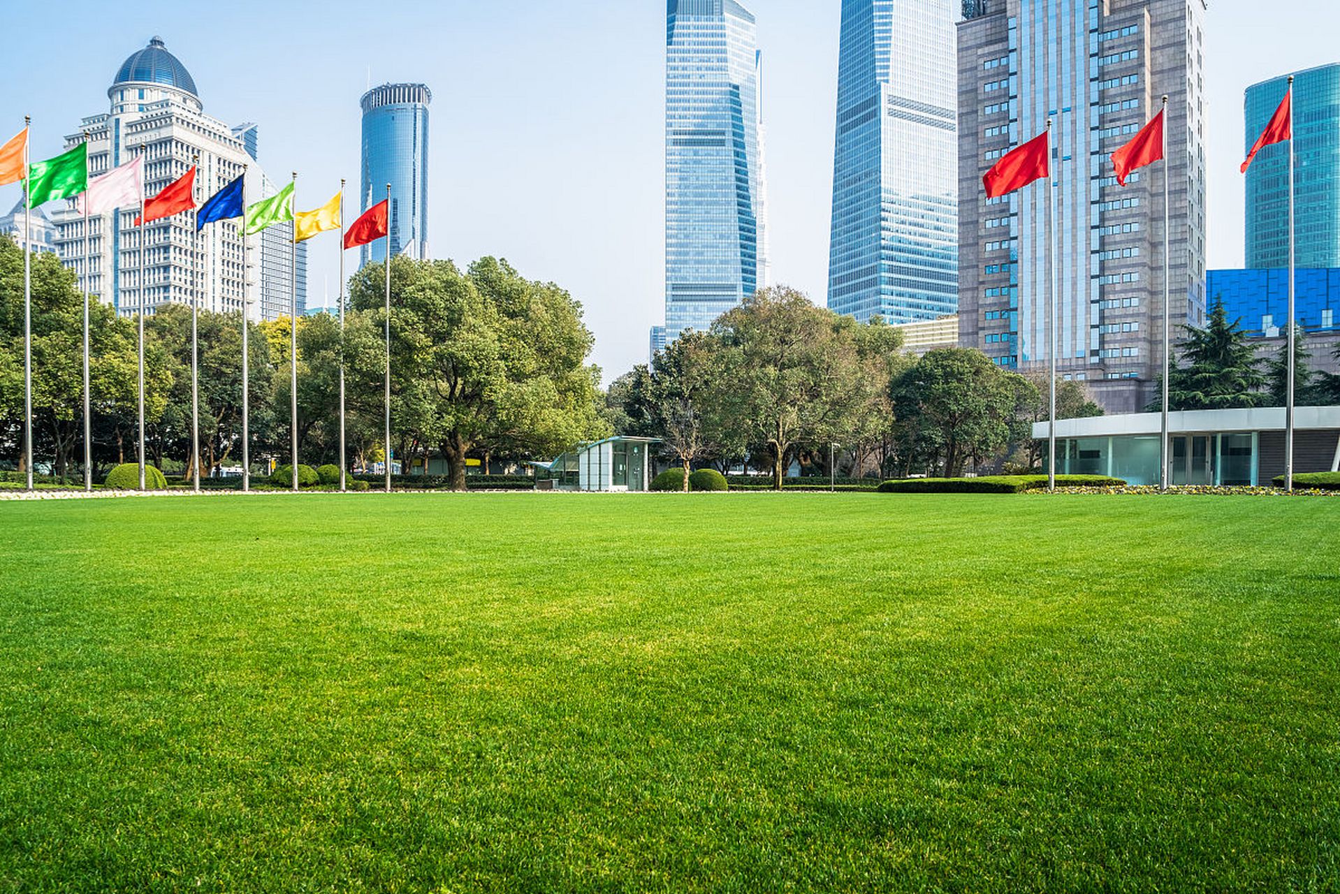 陆家嘴中心绿地,一个隐藏在都市钢铁森林中的自然奇迹