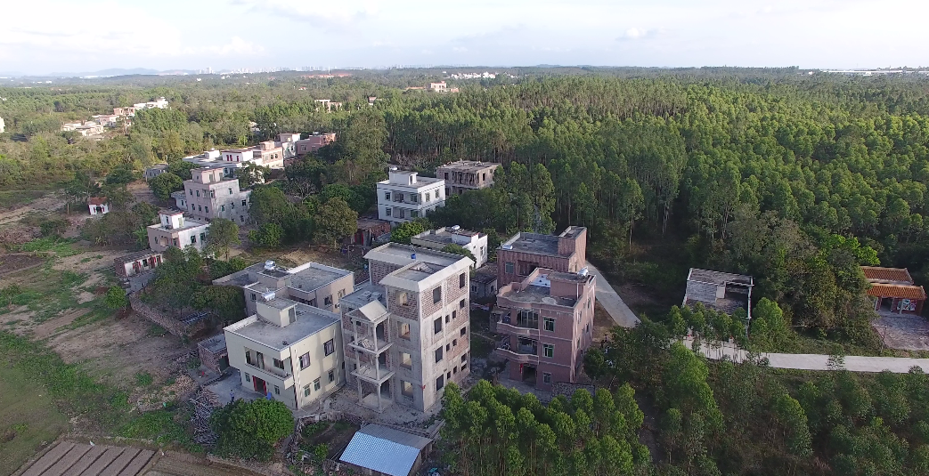 廉江市石岭镇上村仔航拍视频