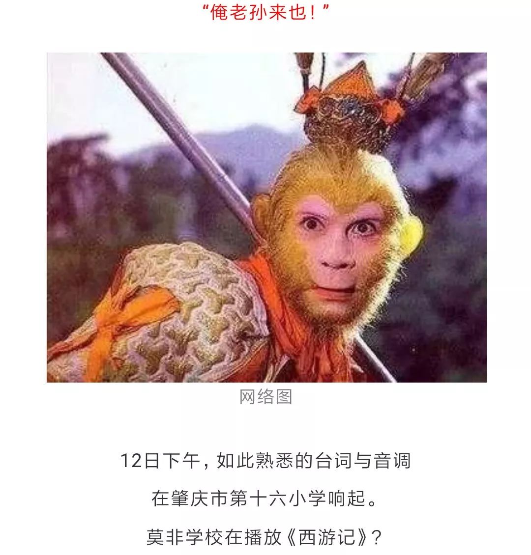 俺老孙来也!六小龄童老师走进肇庆这两所学校,赶快来围观!