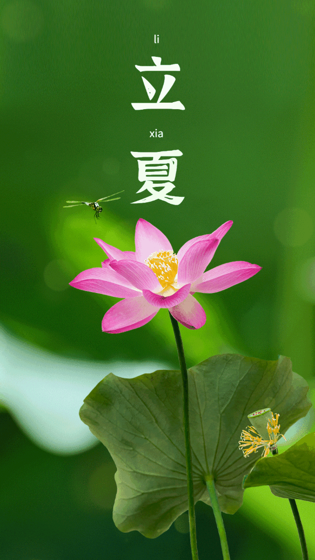 立夏|冬春磨砺皆为序章,人间烟火终复归来!