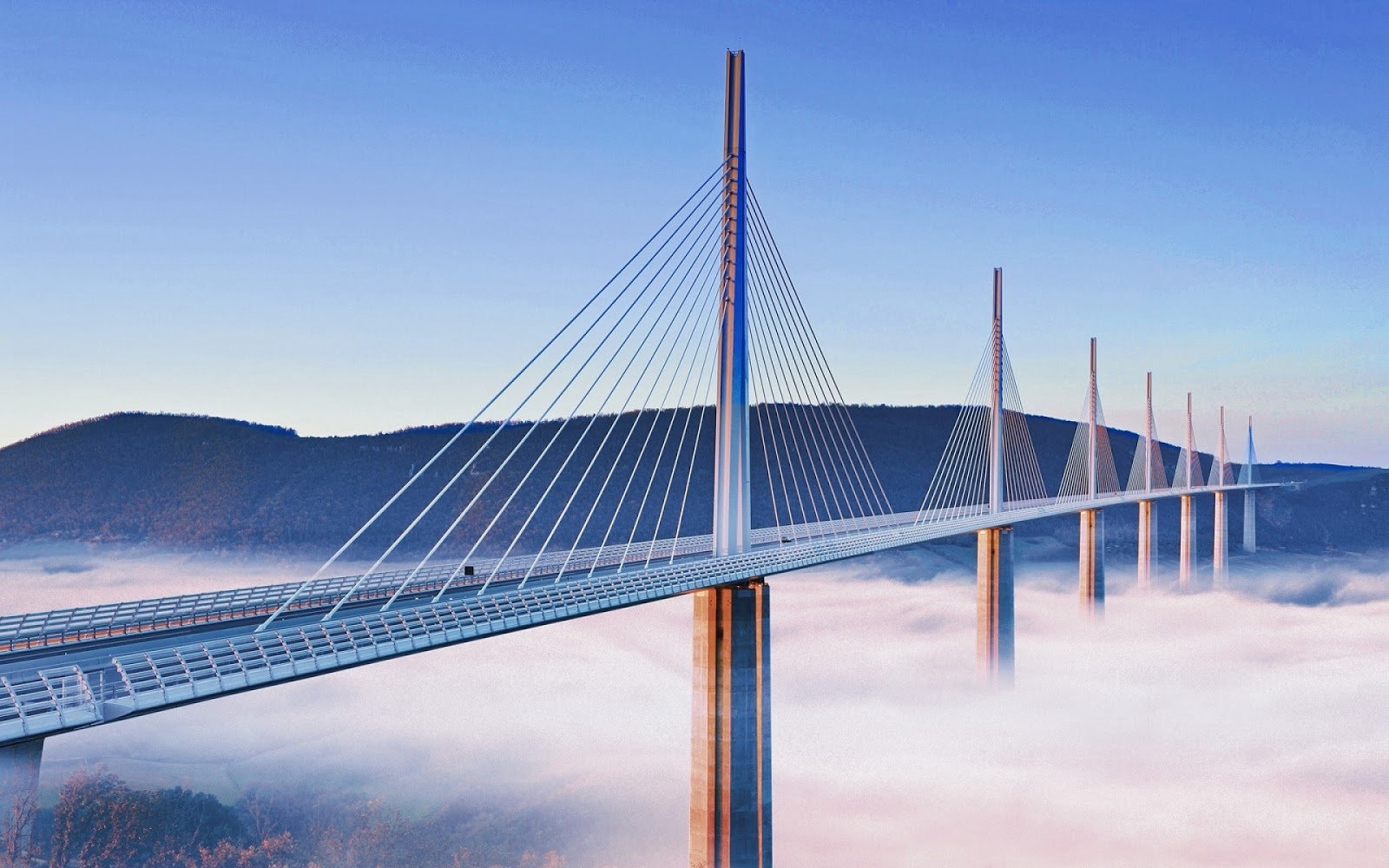 大桥斜拉索的最高点距离地面343米,高出艾菲尔铁塔23米,创下了距地面