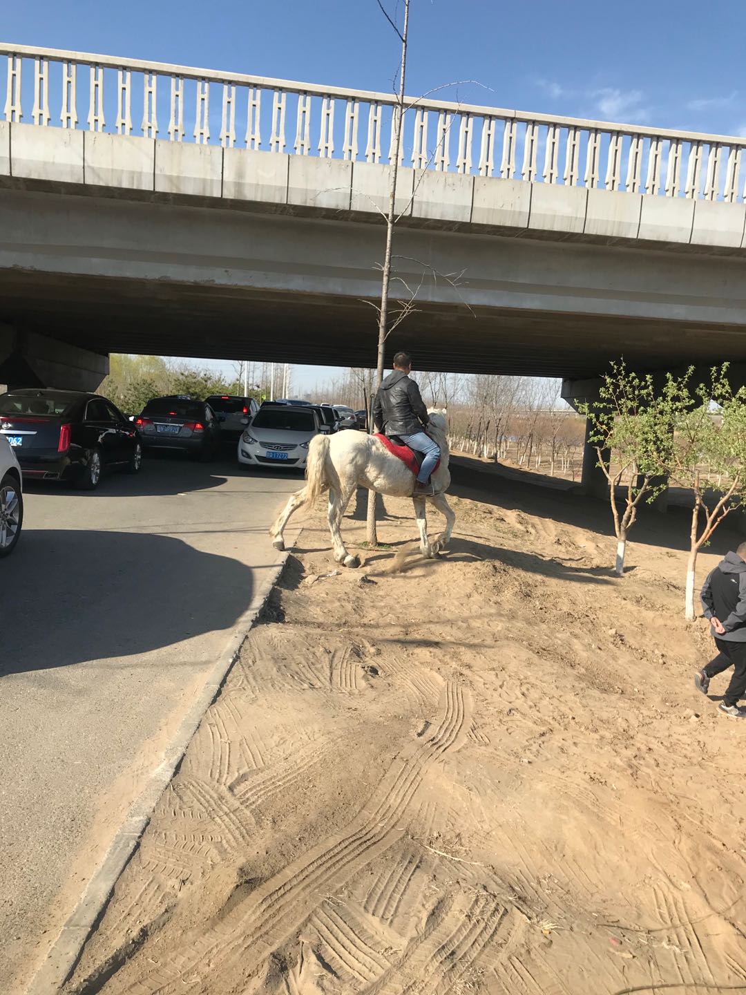 推荐@双休日踏青郊游，千万别在郊野公园里“撒野”！
