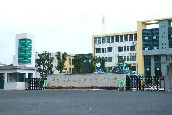 西夏墅中心小学曾霆图片