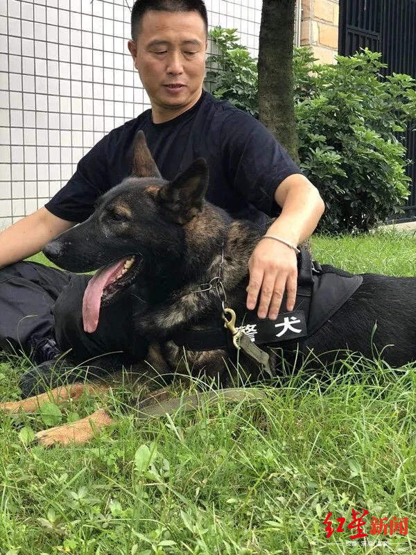 成都训犬民警获个人一等功 隔空表白警犬:军功章有你一半
