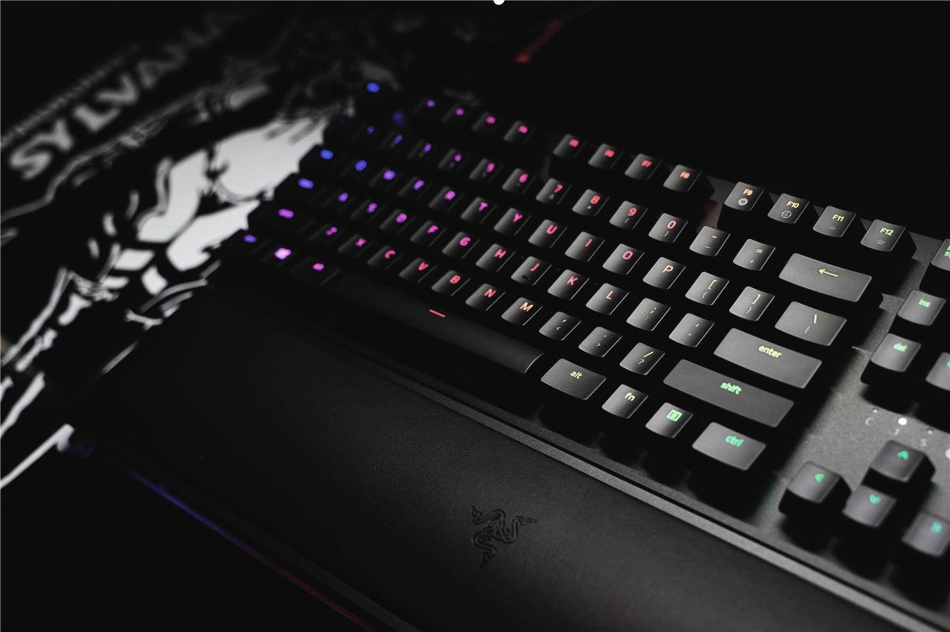 喜提光轴——雷蛇huntsman elite猎魂光蛛精英版