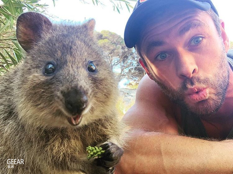 当雷神锤哥遇上短尾矮袋鼠,萌爆自拍超可爱!