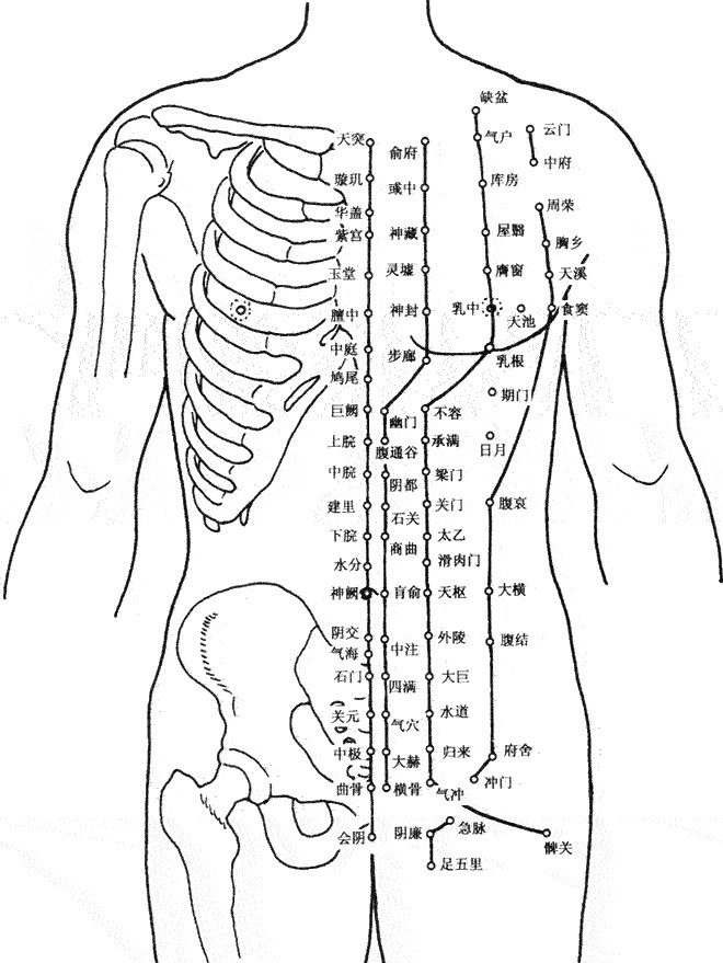 人體穴位圖速查手冊