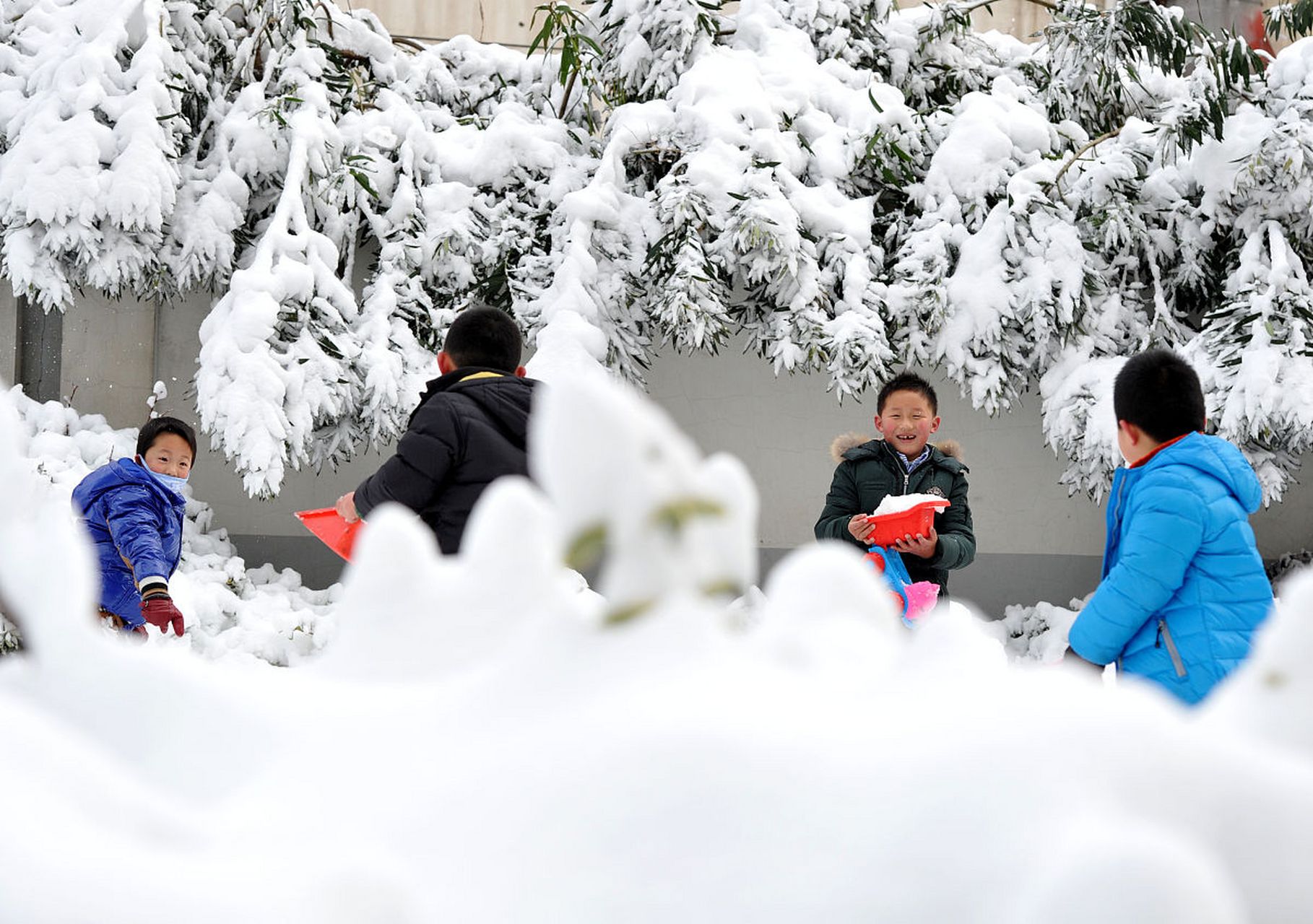 观赏雪景图片