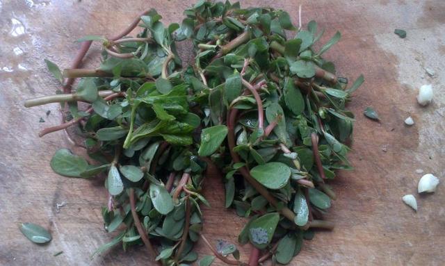 春夏交接多吃苋菜,利水消肿,清热解毒,对高血压还有特殊功效