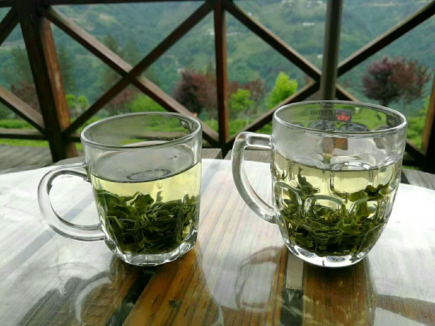 陕西紫阳水泡的紫阳茶