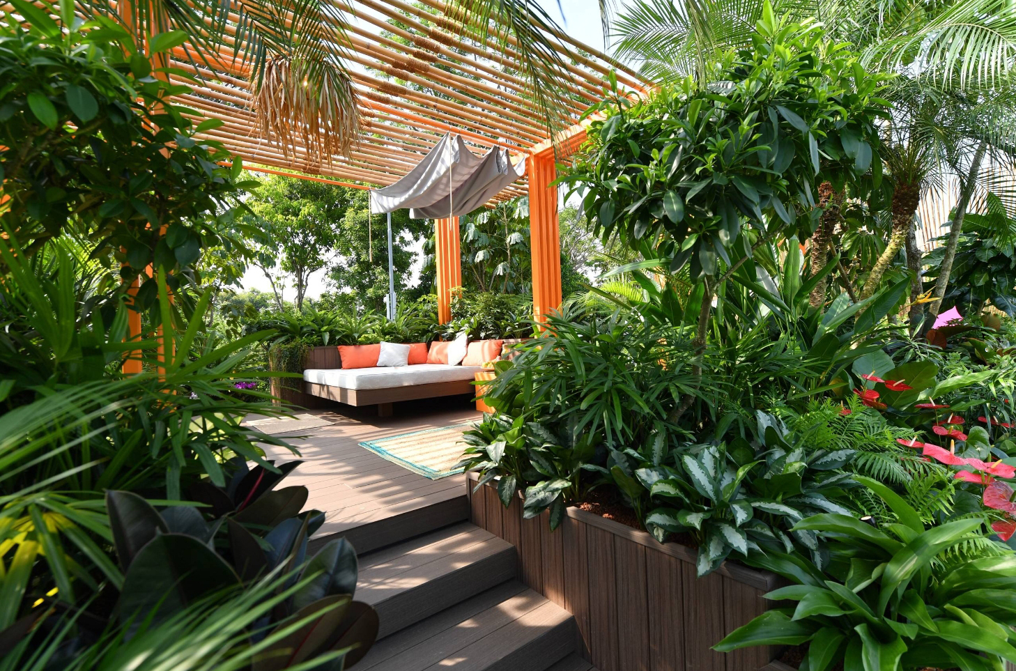 被植物和鱼池环绕的庭院,真正的天然氧吧式花园