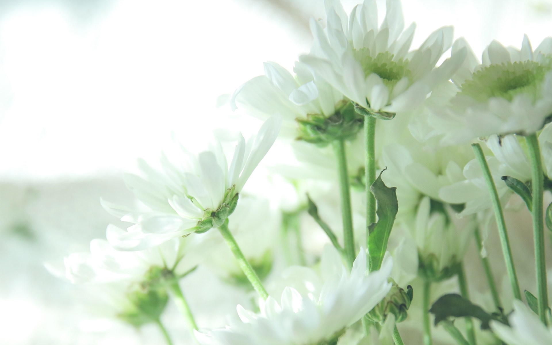 qq非主流爱情签名,令人伤感的爱情