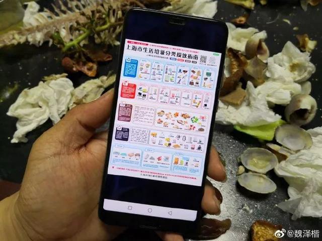 “你是什么垃圾”上海朋友垃圾分类真的太拼了！外地游客瑟瑟发抖