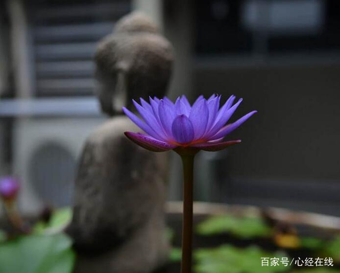 心经念诵的正确方法,让内心平静下来!