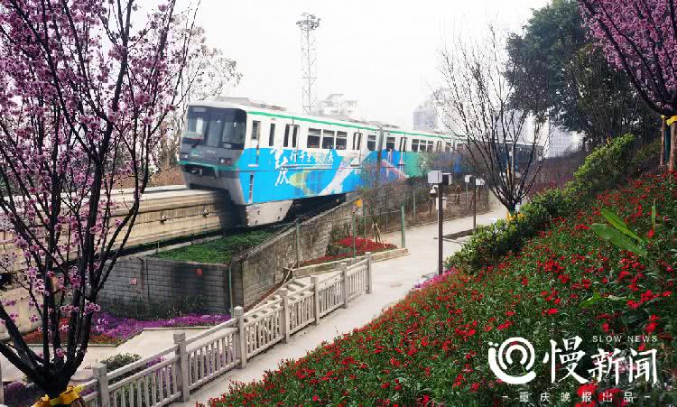 新玩法!快来重庆佛图关步道拍开往春天的轻轨