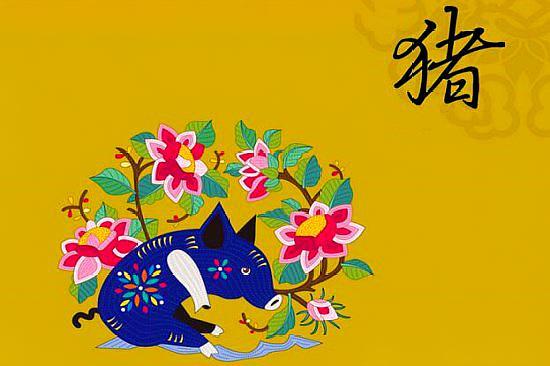 虎年生肖猪身体运势(生肖虎在猪年的运势)