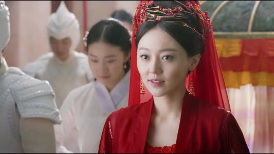 辛奴,素锦身边的丫鬟,真的是有什么样的主子就有什么样的丫鬟,无赖