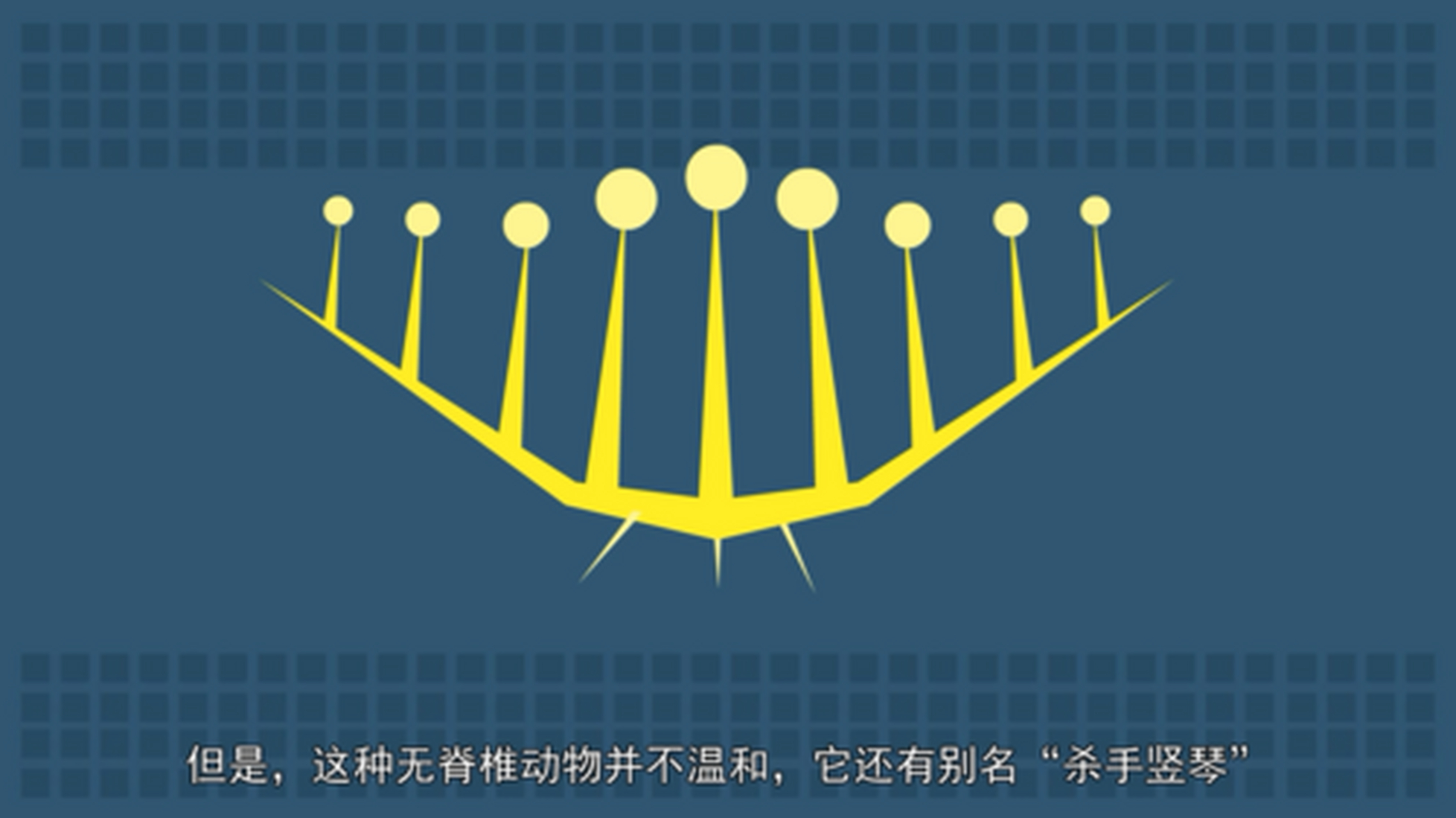 公布答案 姓名:竖琴海绵(chondrocladia lyra 出生地:生活于加