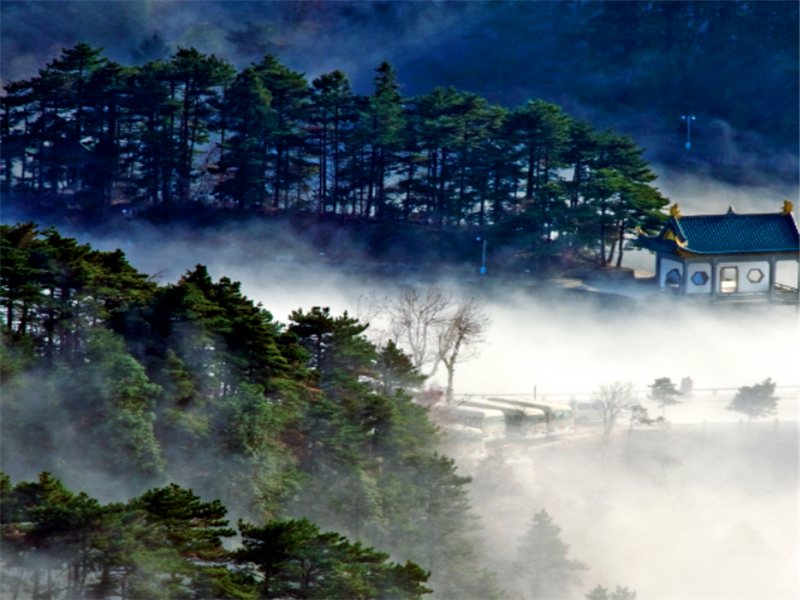 美丽的庐山,风景秀美,人间仙境,让人流连忘返