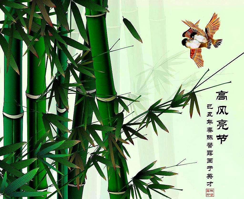 "竹子定律"告诉你,成功离你并不遥远!(值得收藏)