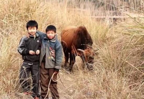 未来几年,农村家庭"俩儿",避不开3个问题,家长早准备