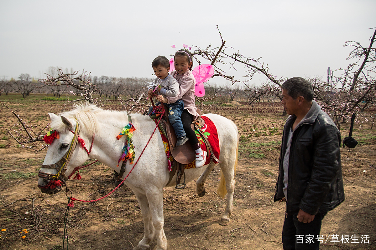 致富门路农村的新骗局是什么(致富门路农村的新骗局是什么意思)