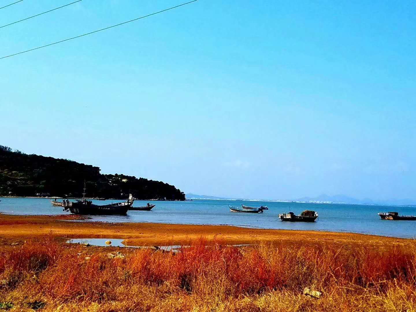 菊花岛风景图片